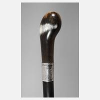 Spazierstock Horn111