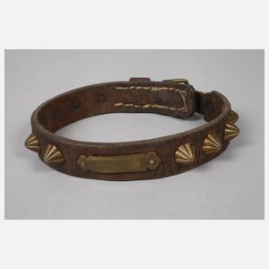 Zwei Hundehalsbänder