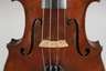 Violine
