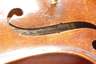 Violine