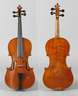 Violine