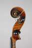 Violine