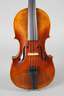 Violine