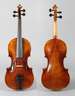 Violine