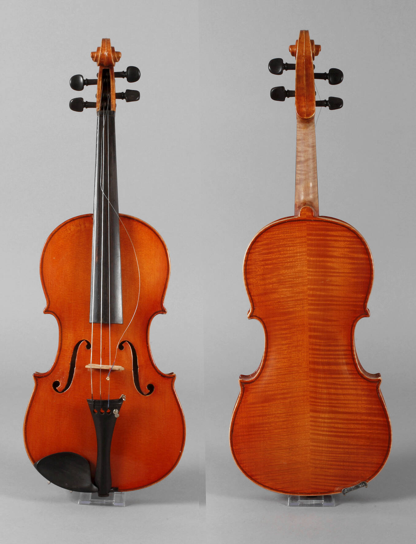 Violine