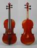 Violine
