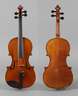 Violine