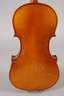 Violine