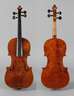 Violine