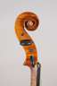 Violine