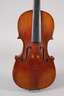 Violine
