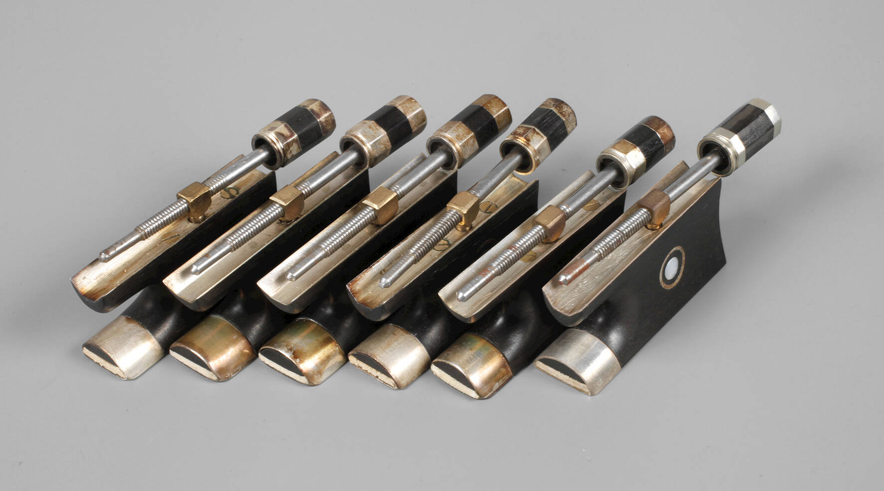 Sechs Frösche mit Schraube