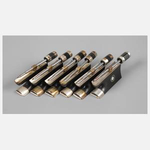 Sechs Frösche mit Schraube