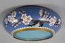 Schale Cloisonné