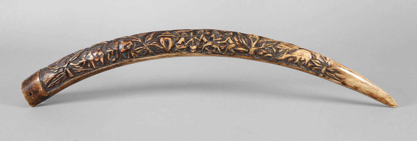 Beschnitzter Stoßzahn