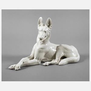 Allach großer Schäferhund