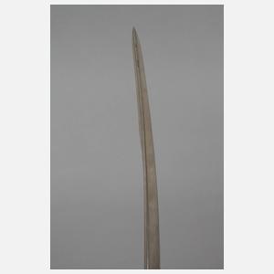 Löwenkopfsäbel Sachsen