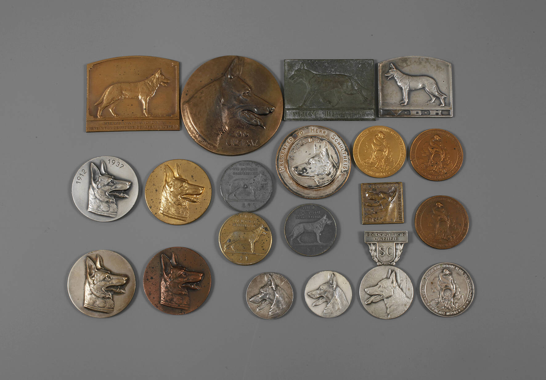 Nachlass Hundezüchter 2. Weltkrieg