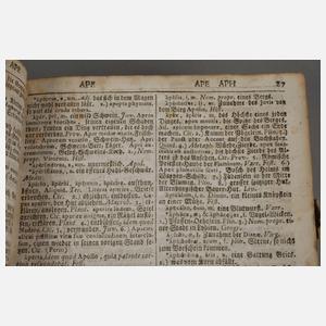 Zwei alte Wörterbücher