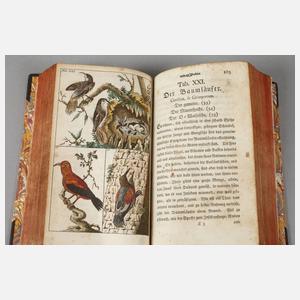 Unterhaltungen aus der Naturgeschichte