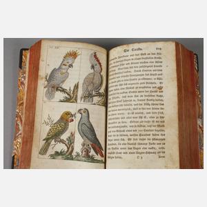 Unterhaltungen aus der Naturgeschichte