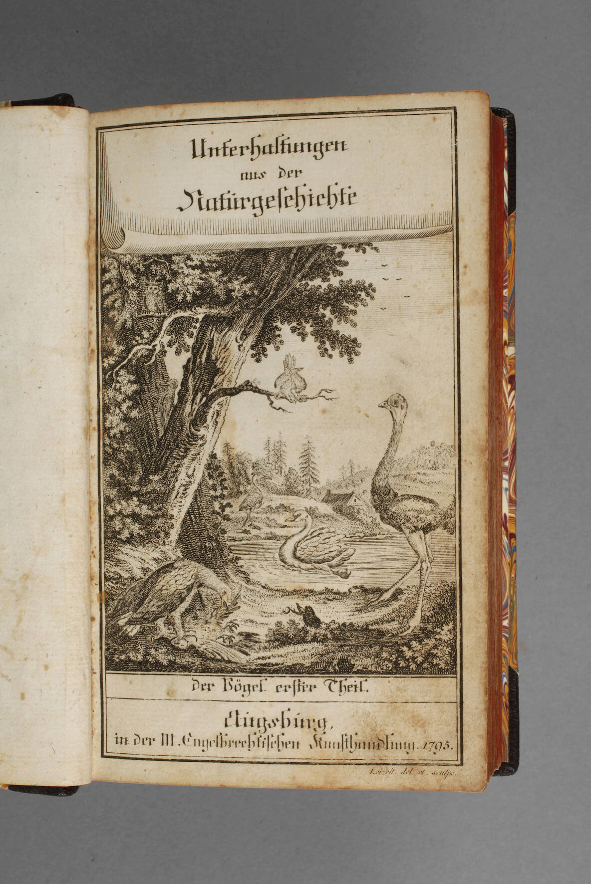 Unterhaltungen aus der Naturgeschichte