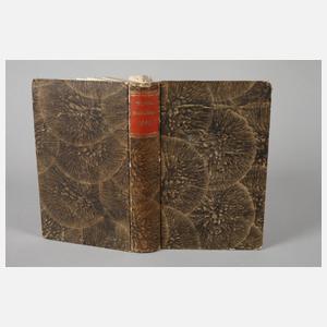 Rigaische Stadtblätter