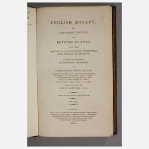 Zwei Bände English Botany