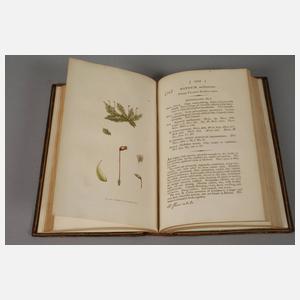 Zwei Bände English Botany