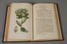 Zwei Bände English Botany