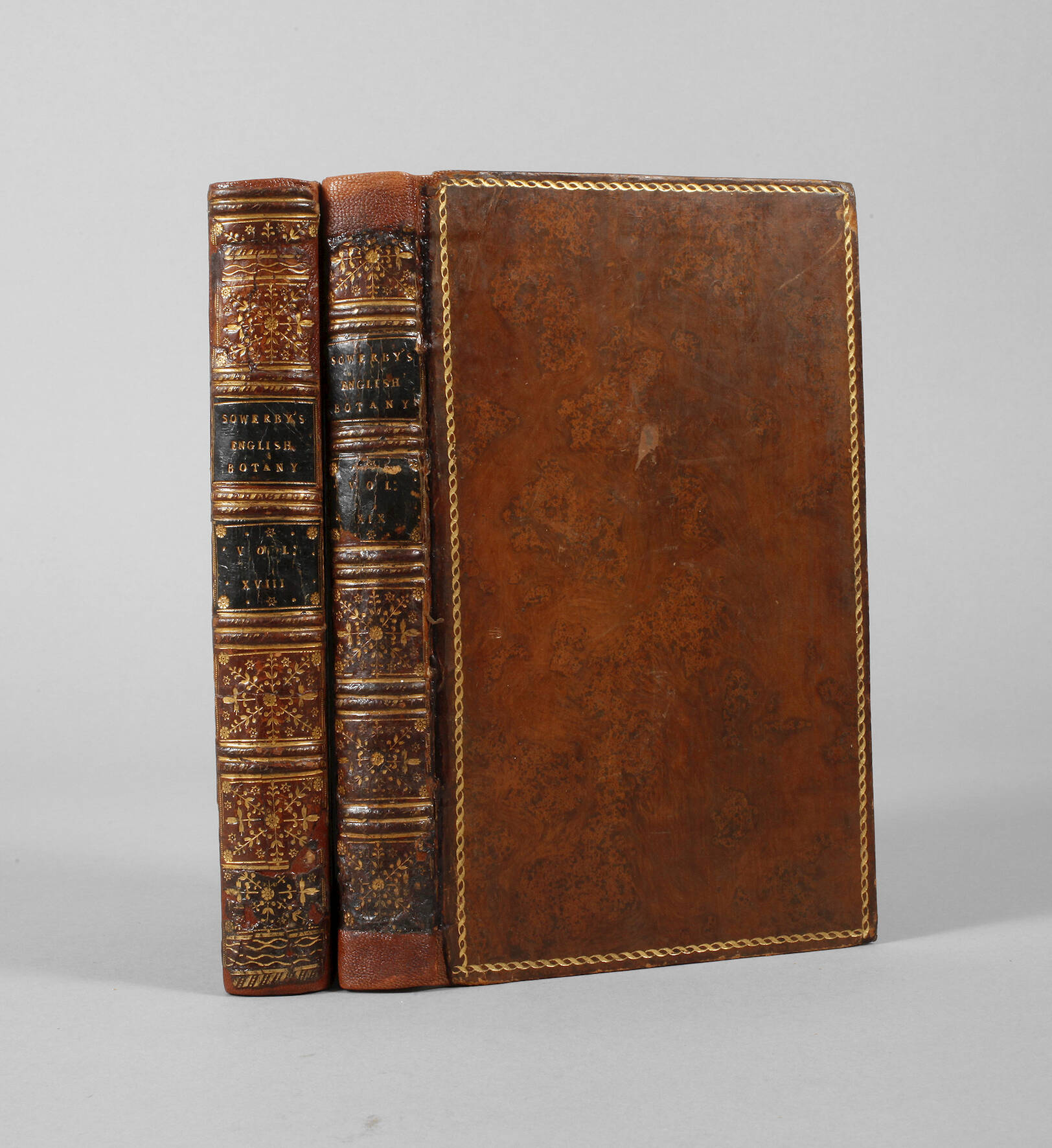 Zwei Bände English Botany