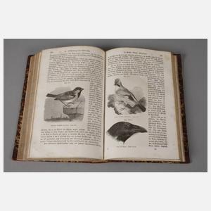 Friedrich Schödler, Buch der Natur