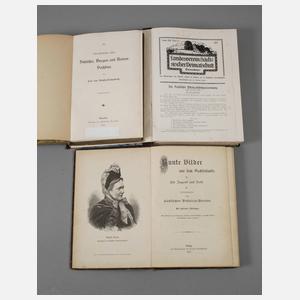 Konvolut Literatur Sachsen