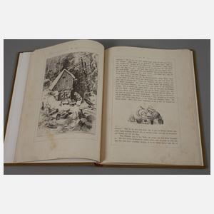 Zwei Bücher Sachsen