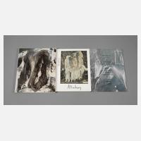 Drei Ausstellungskataloge111