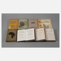 Konvolut Reiseliteratur111