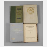 Konvolut Reiseliteratur111