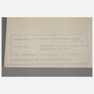 Fotografie Waltraud Petersen