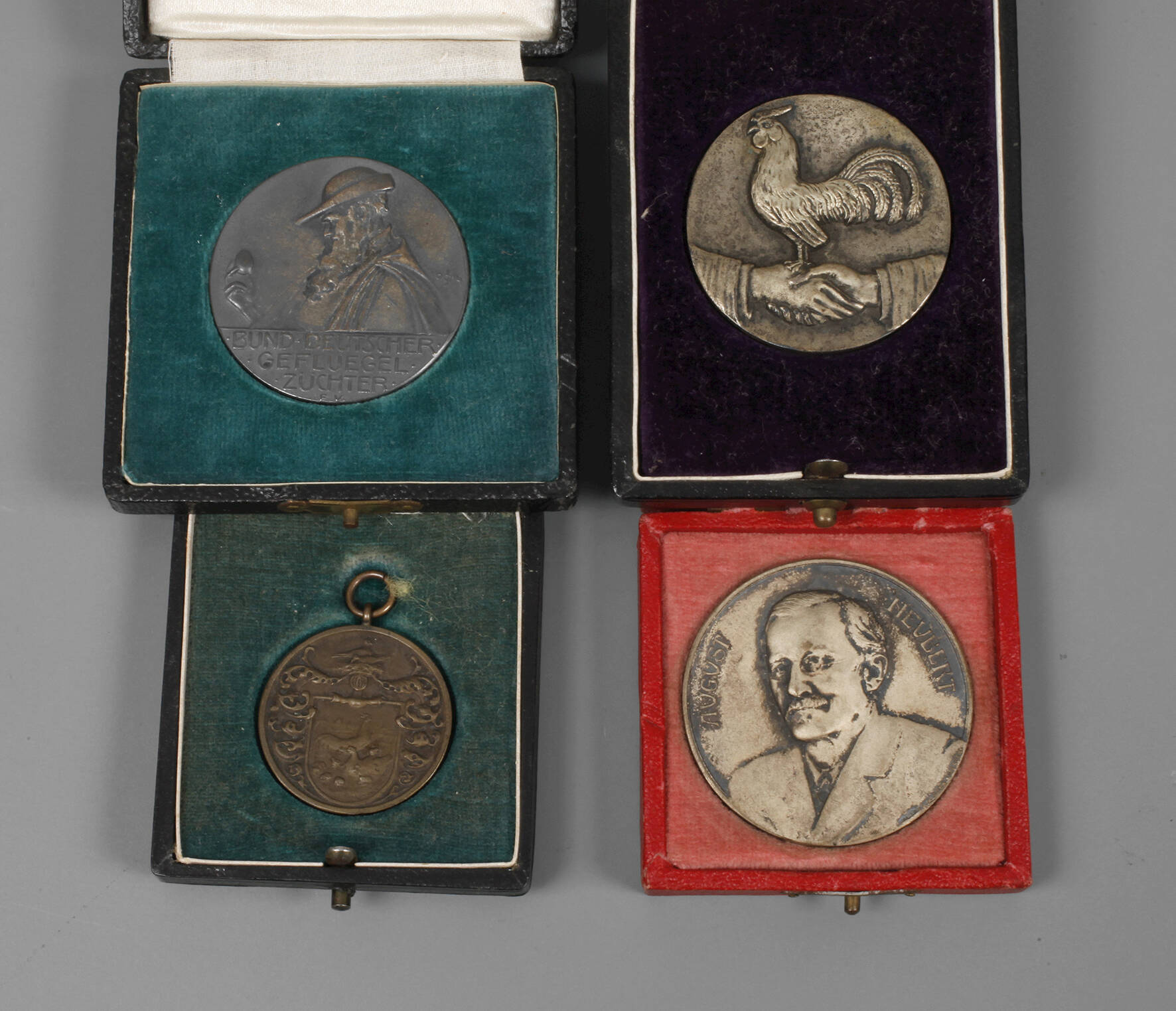 Vier Medaillen Geflügelzucht Sachsen