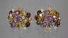 Paar Ohrringe Multicolor