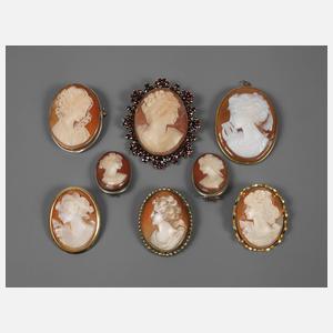 Sammlung Muschelcaméenbroschen