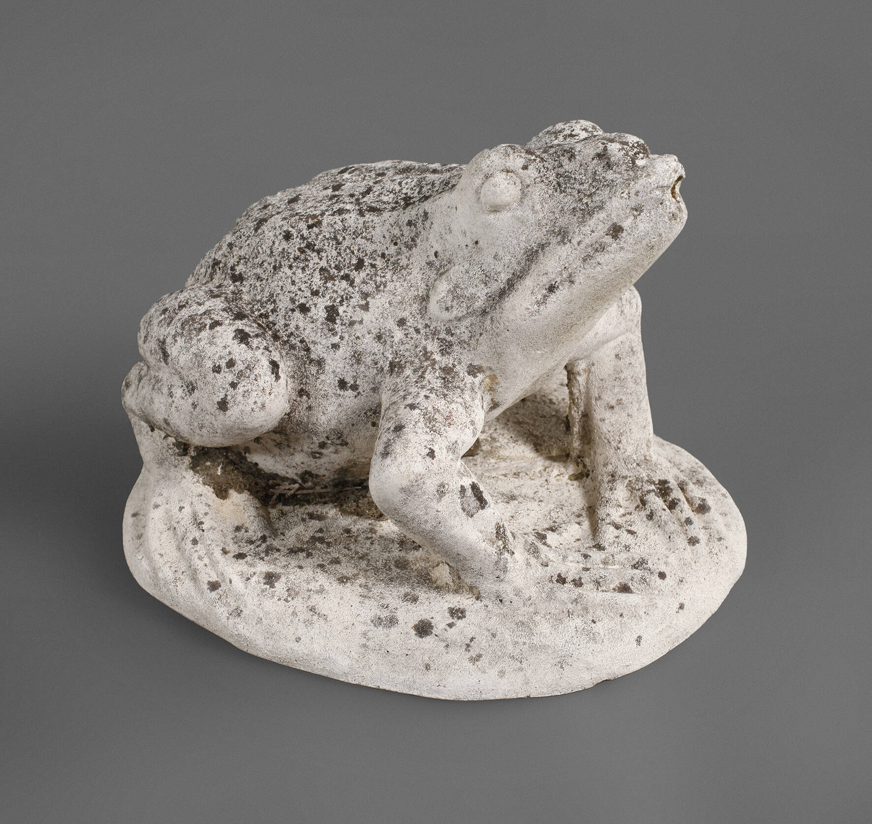 Frosch als Wasserspeier