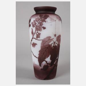 Val Saint Lambert Ätzglasvase mit Spinne