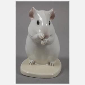 Heubach Lichte Meerschweinchen