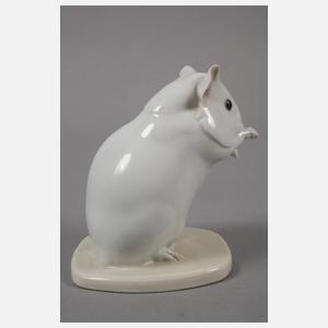 Heubach Lichte Meerschweinchen