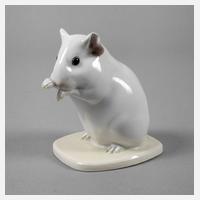 Heubach Lichte Meerschweinchen111