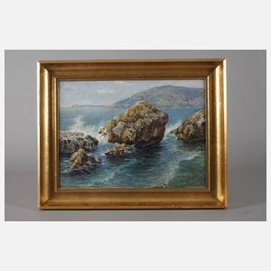 Prof. Alfred Zoff, Felsige Küste in der Brandung