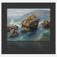 Prof. Alfred Zoff, Felsige Küste in der Brandung111