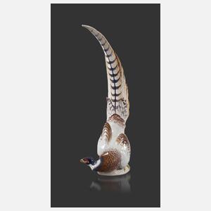 Meissen großer "Königsfasanenhahn"