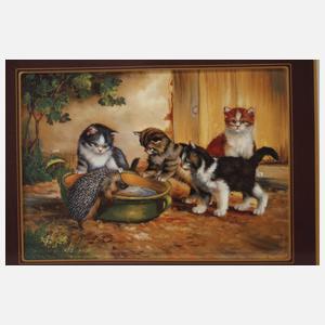 Bildplatte "Katzen mit Igel"
